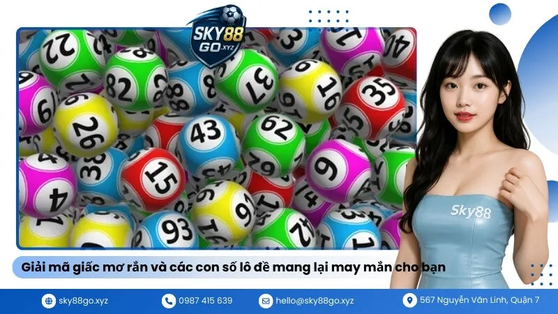 Giải mã giấc mơ rắn và các con số lô đề mang lại may mắn cho bạn